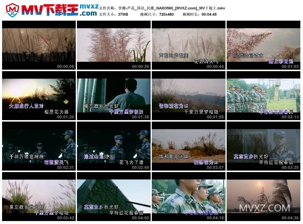 李潮-芦花_国语_民歌_NAI03560